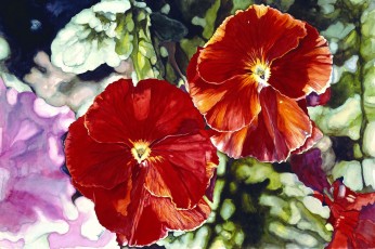 Red Pansies