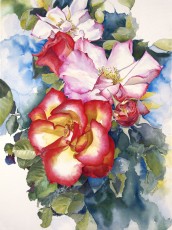 Rose Cascade