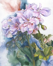 Santa Maria Centennial Star