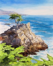 The Lone Cypress